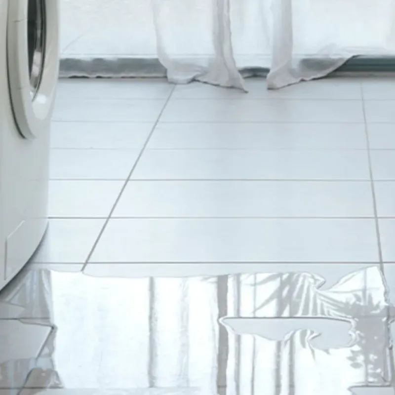 Appliance Leak Cleanup in Columbia County, GA